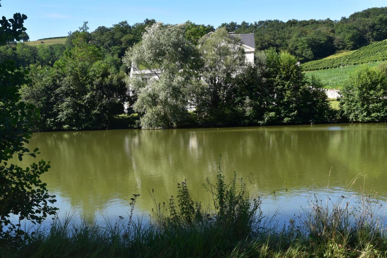 Chateau Roquehort Avec Ev Recharge Point 22Kw Monein Exterior photo