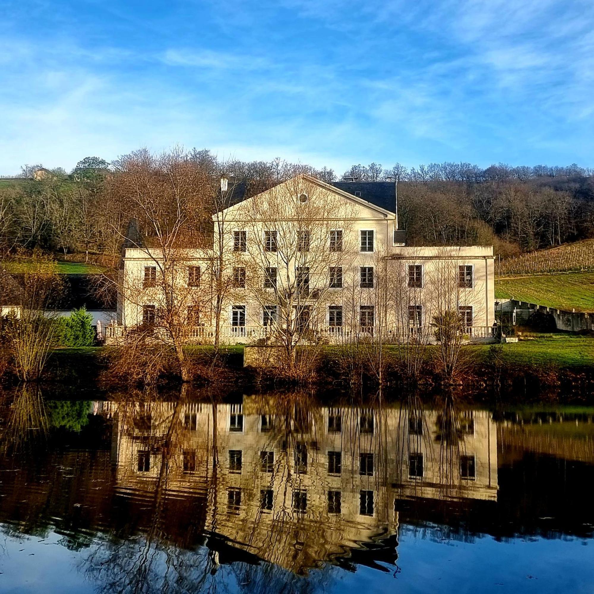 Chateau Roquehort Avec Ev Recharge Point 22Kw Monein Exterior photo